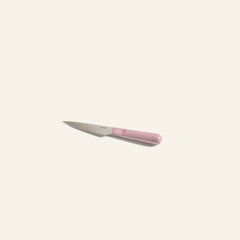 Precise Paring Knife